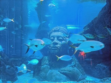 2023-11 Sealife Bangkok
